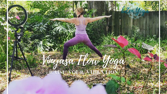 Vinyasa Flow Yoga with Emily - Raise Your Vibration
